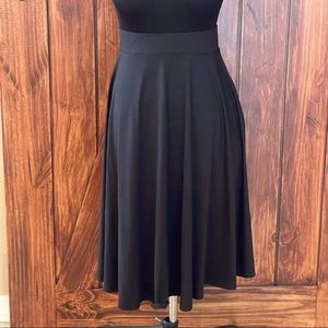 NWT Amelia James A-Line Skirt Pockets